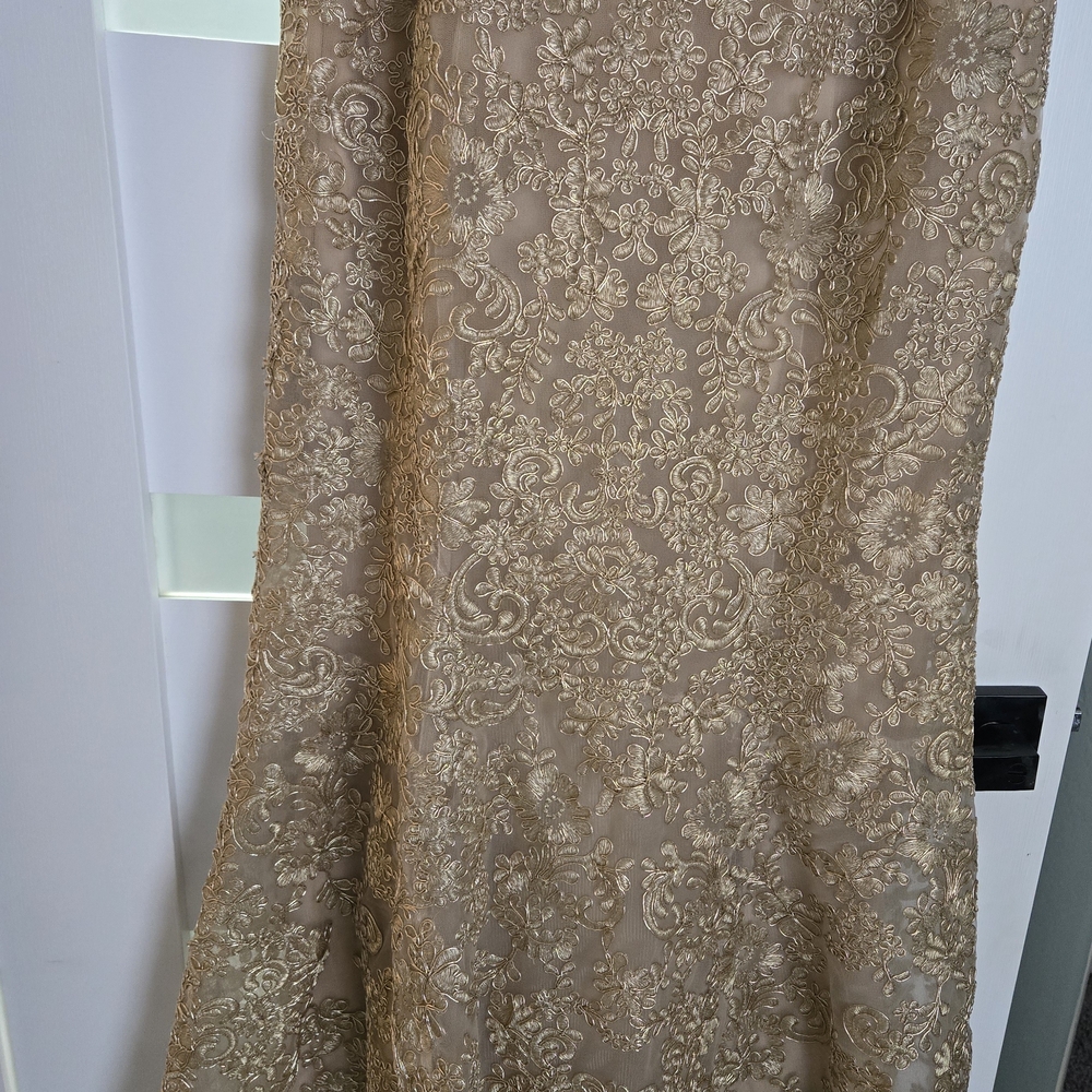 Gold Lace Maxi Evening Dress - Elegant V-Neck - Picture 7 of 12